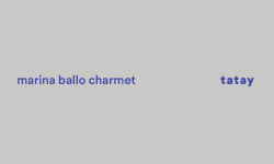 Marina Ballo Charmet, catalog, galleria Il Ponte