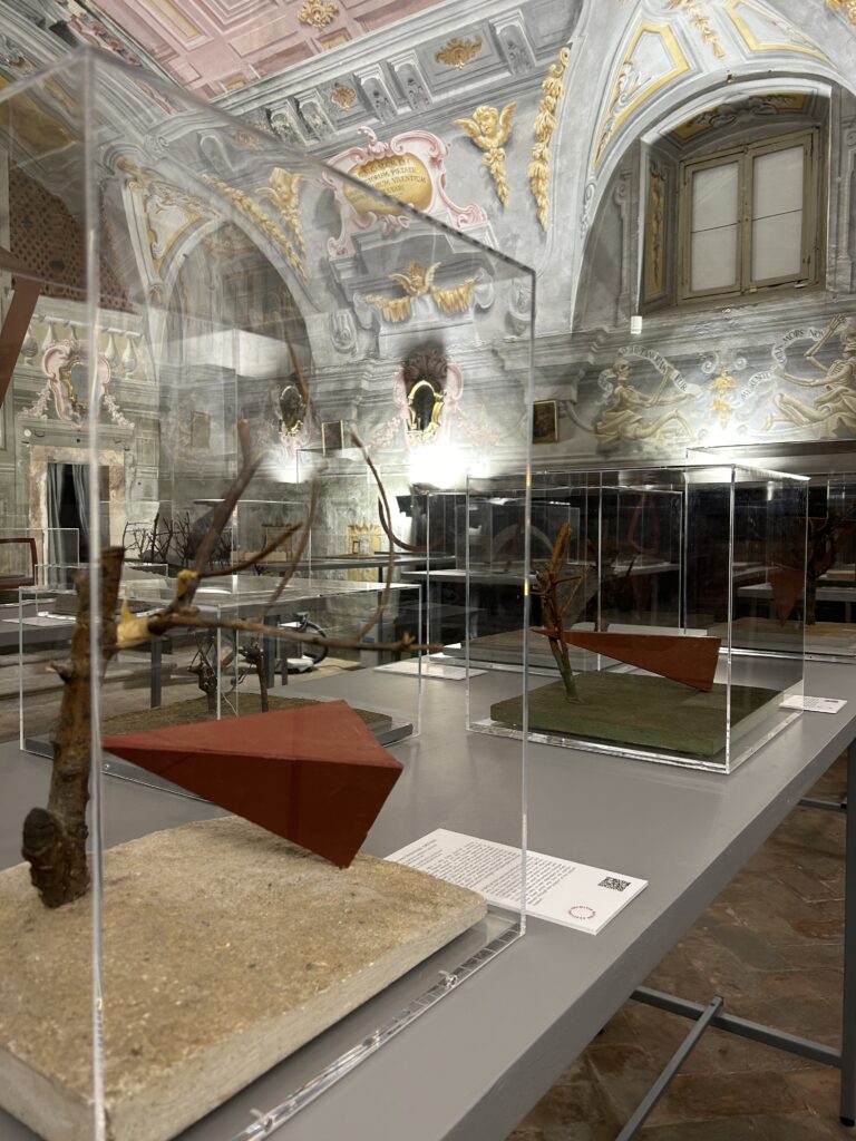 Museo Archivio Mauro Staccioli