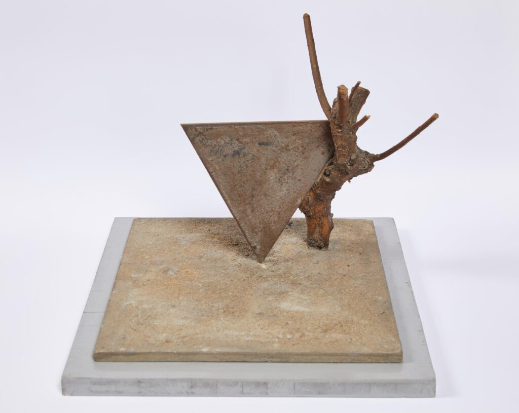 Maquette Staccioli Museo Archivio