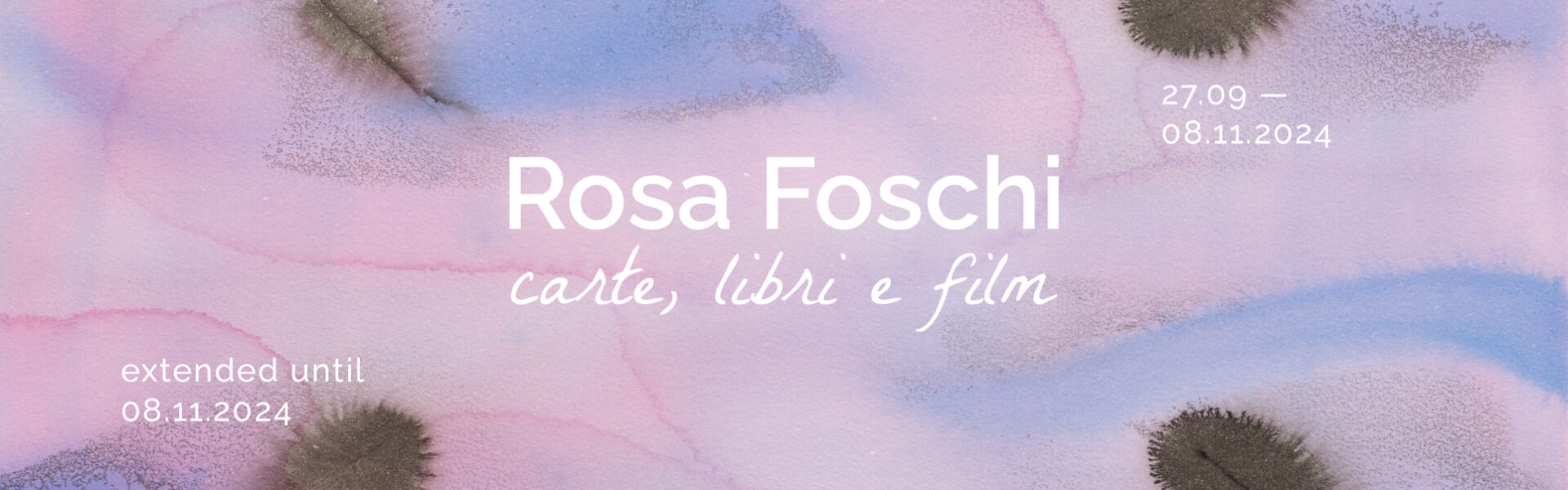 Rosa Foschi, galleria Il Ponte, home